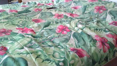 Rocco-load online show from March 25, 3:16 pm