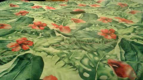 Rocco-load online show from November 2, 4:33 pm