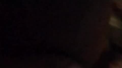 Oval2022 online show from November 5, 10:50 am