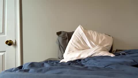 Zeppelin man online show from April 1, 1:41 pm