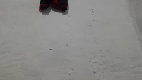 Camilo online show from February 1, 11:09 am