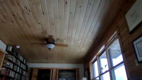 tec0vas online show from November 30, 8:00 pm