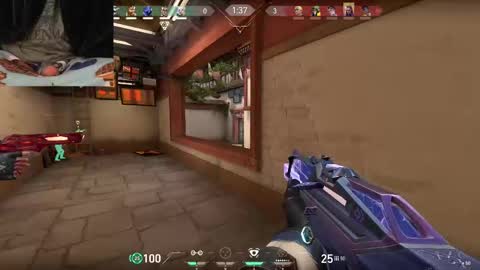 termd online show from September 20, 1:44 pm