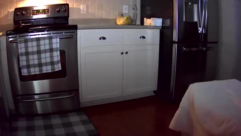 thegreat6268469 online show from January 12, 1:37 pm