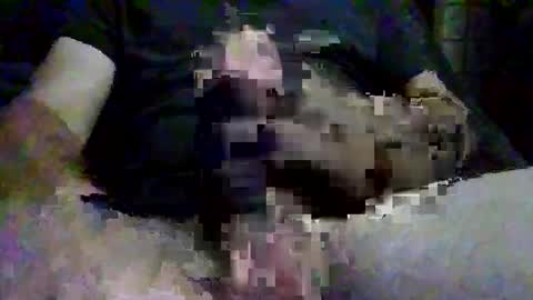 thickandhard54321 online show from October 6, 11:53 pm