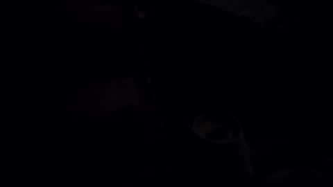 timsrepair3 online show from November 10, 10:42 am