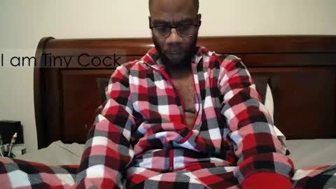 tinycock_1979 online show from February 8, 1:15 pm