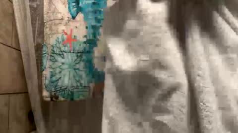 tittyzandbeer online show from January 27, 11:11 pm