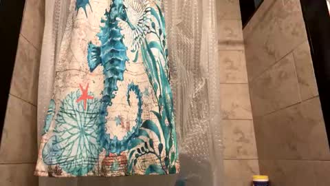 tittyzandbeer online show from February 26, 10:15 am