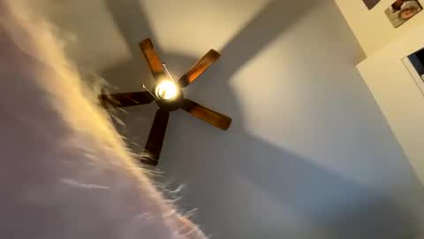 tommygunz62 online show from September 13, 12:06 pm