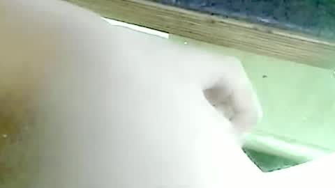 tornne online show from March 3, 2:19 am