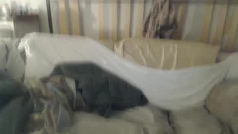 TreeHugger queer online show from December 18, 7:04 am