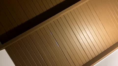 WapBopper online show from December 9, 1:15 pm