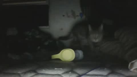 twonkydonk27 online show from December 13, 10:16 pm