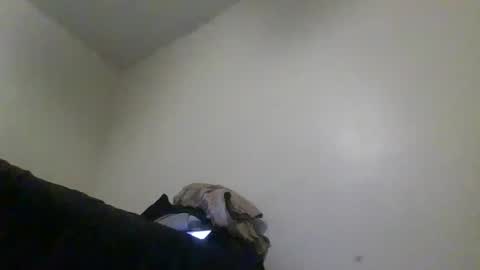 txbigd131369 online show from December 17, 4:12 am