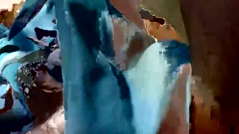 viizin online show from January 2, 3:05 am