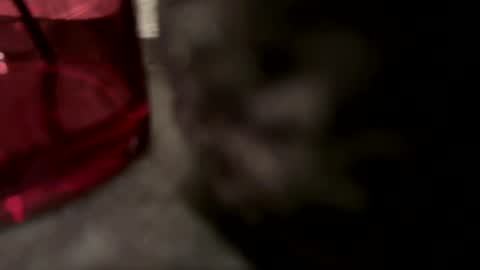 John online show from January 8, 2:46 pm