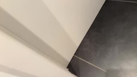 John online show from February 19, 3:49 pm