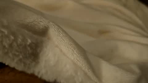 Snapshot of what_whaaat chatting on September 22, 2:33 am what_whaaat online show from September 22, 2:33 am