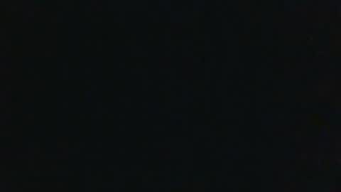 whitehead_lion online show from September 18, 7:05 pm