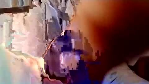 willfast online show from November 29, 3:03 pm