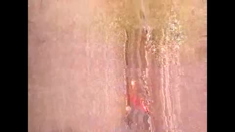 wizardmike421 online show from February 7, 6:20 am