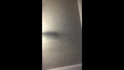 Woodpipe69 online show from December 23, 3:01 pm