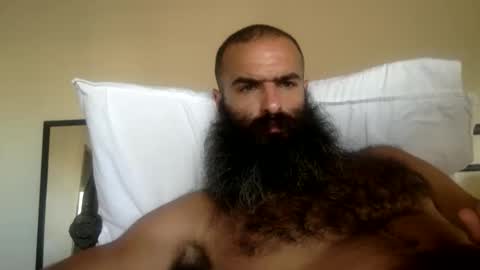 woof_wolf37 online show from February 27, 12:45 am