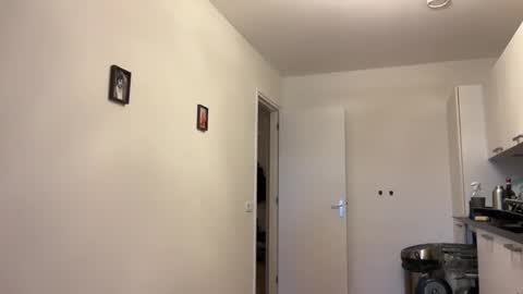 Snapshot of wsvogel chatting on January 23, 1:56 pm joejoe online show from January 23, 1:56 pm