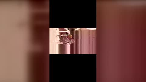 wtoddloomis10 online show from November 30, 11:01 am