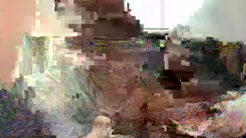 xshadow_menacex online show from January 14, 3:22 am