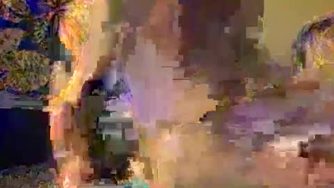 xxtalltrees online show from October 28, 10:50 am