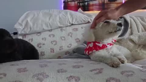 TonyDoesMiami online show from February 17, 4:26 pm