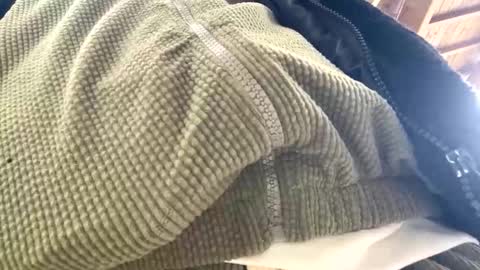 yasarsimo99154258 online show from April 7, 10:59 am