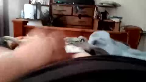 yeet3244 online show from September 18, 6:48 am