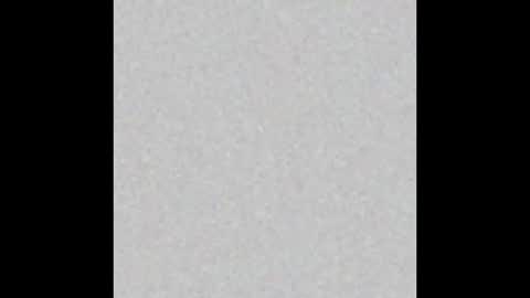 .     y e l l o w s n a k e s       . online show from October 8, 8:51 am