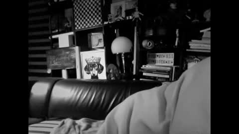 yessex247 online show from February 19, 6:21 am