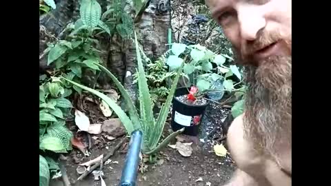 Snapshot of youllfall4me chatting on October 28, 12:46 am youllfall4me online show from October 28, 12:46 am