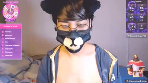 the puppy boy online show from November 28, 3:42 am