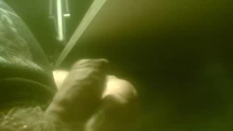 zaboski4 online show from April 27, 7:27 am