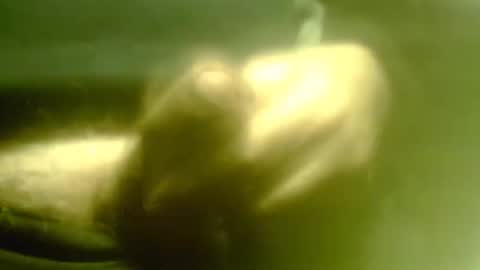 zaboski4 online show from March 11, 8:32 am