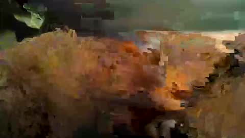 zeebonkie online show from November 5, 9:17 pm