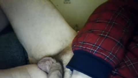 zeeotter online show from October 23, 6:50 am