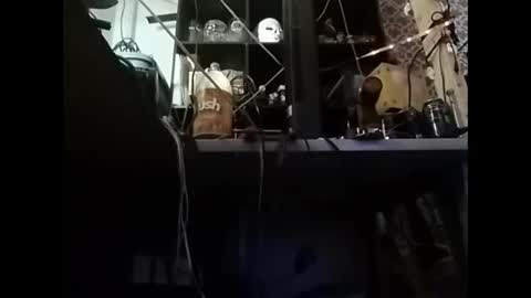 zero online show from December 13, 11:45 am