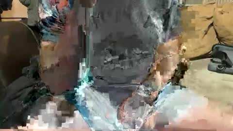 Zimmy22 online show from April 9, 10:32 am