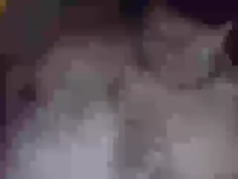 Fr4nk1eFFuxxx online show from April 14, 4:12 am