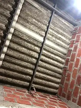 fran777775 online show from January 12, 12:58 am