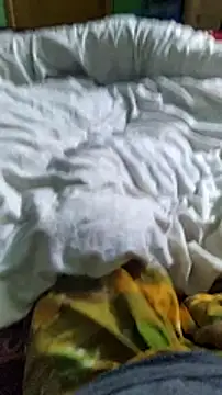 Snapshot of Niladri1410 chatting on December 25, 7:13 pm Niladri1410 online show from December 25, 7:13 pm