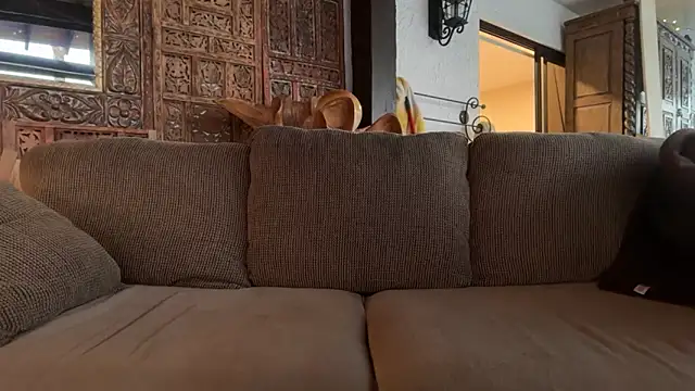 RoodoggXL online show from February 14, 1:33 am