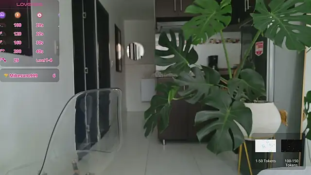 grey   27 online show from November 13, 12:43 pm